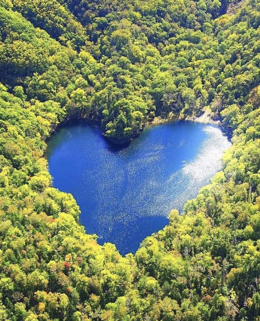 Discover the peaceful charm of heart-shaped lakes surrounded by lush vegetation, a majestic reminder of Mother Nature's affection. - Mnews