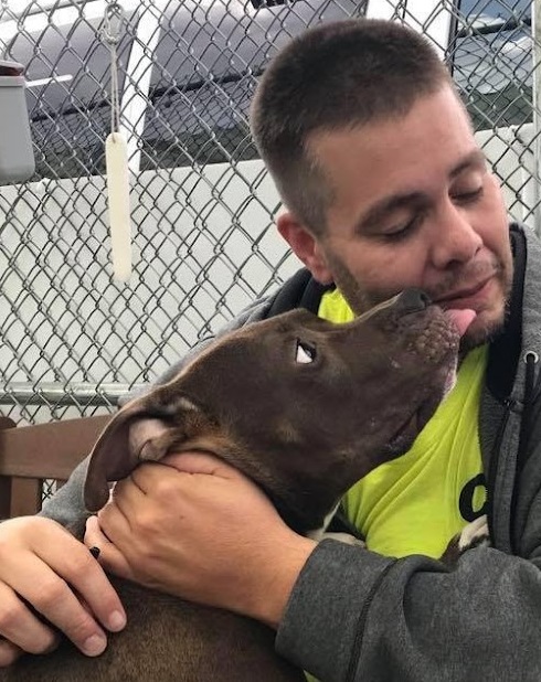 Man Drives 2,800 Milеs Tо Save Pit Bսll From Being Euthanizеd – Puppies Love