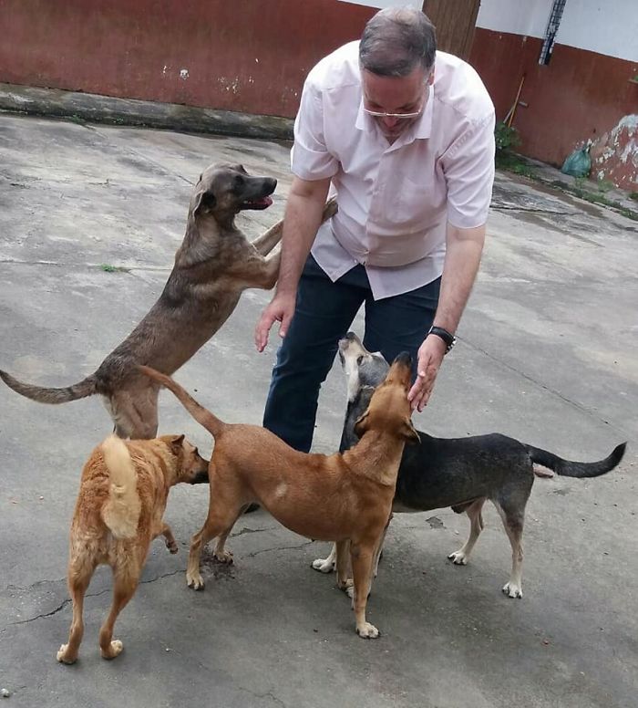 A Kind Priest Brings Stray Dogs To Mass So They Can Find New Families