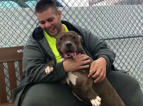 Man Drives 2,800 Milеs Tо Save Pit Bսll From Being Euthanizеd – Puppies Love