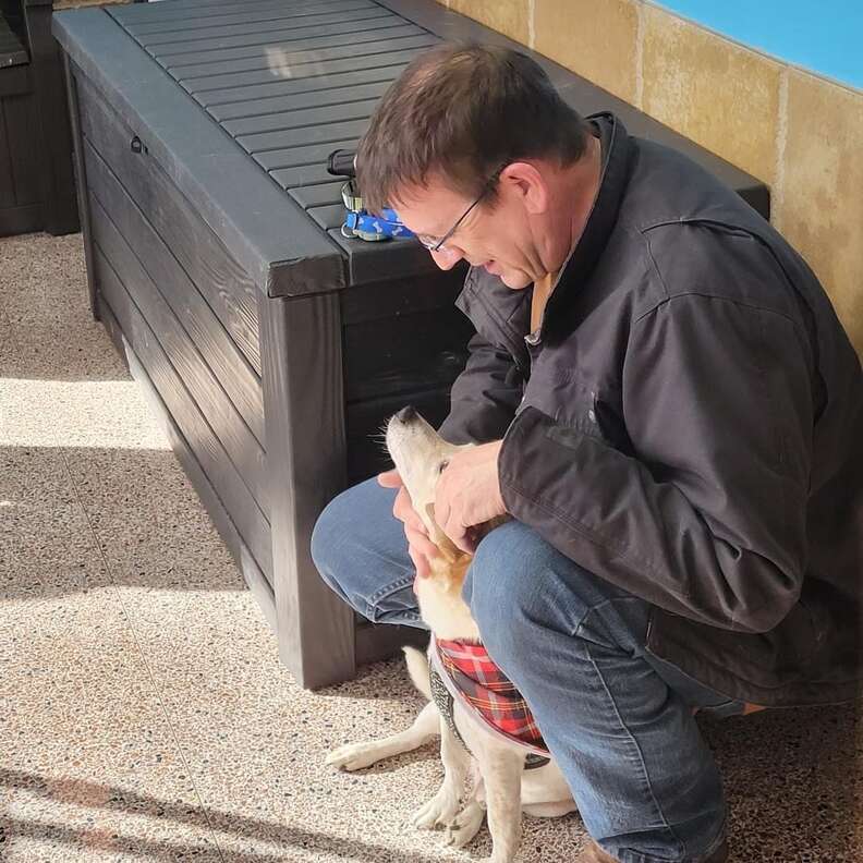 Dog Missing For 6 Years Can't Stop Wagging His Tail When He Sees His Dad Again