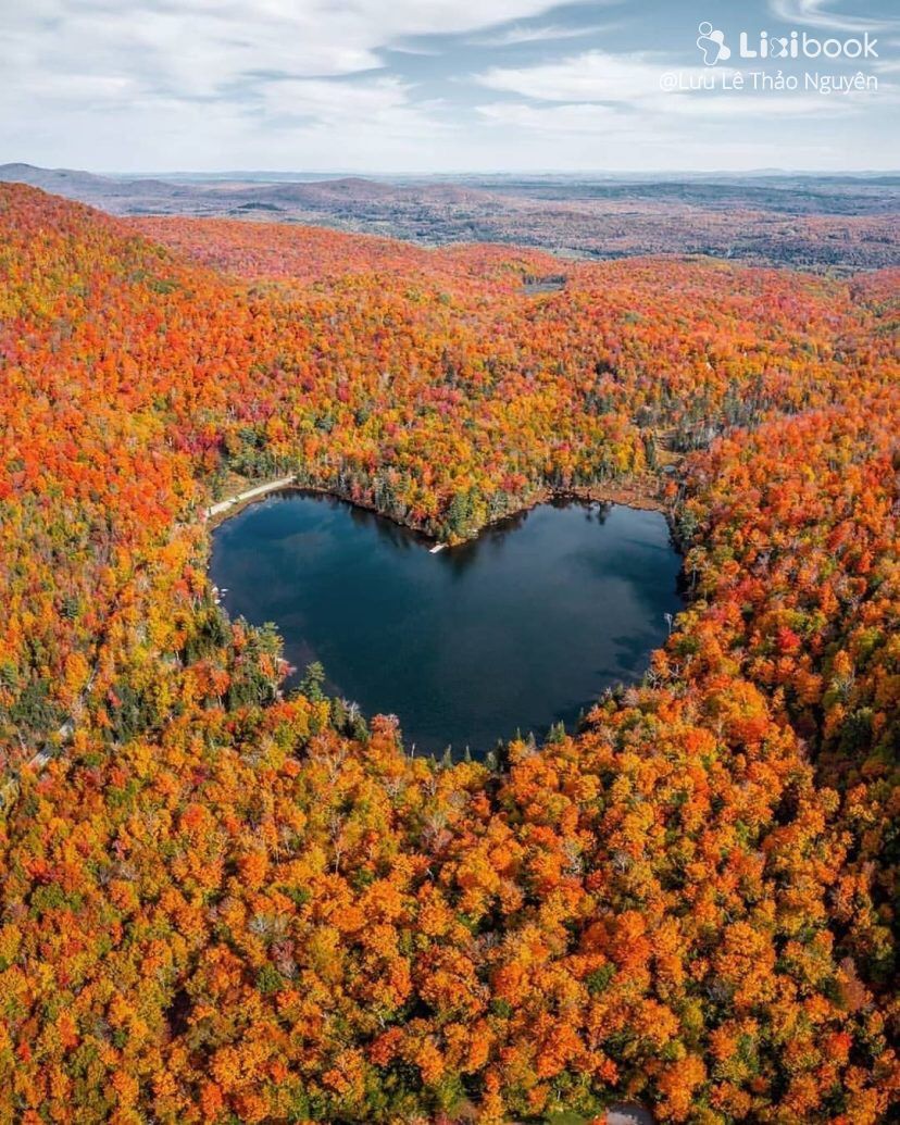 Discover the peaceful charm of heart-shaped lakes surrounded by lush vegetation, a majestic reminder of Mother Nature's affection. - Mnews