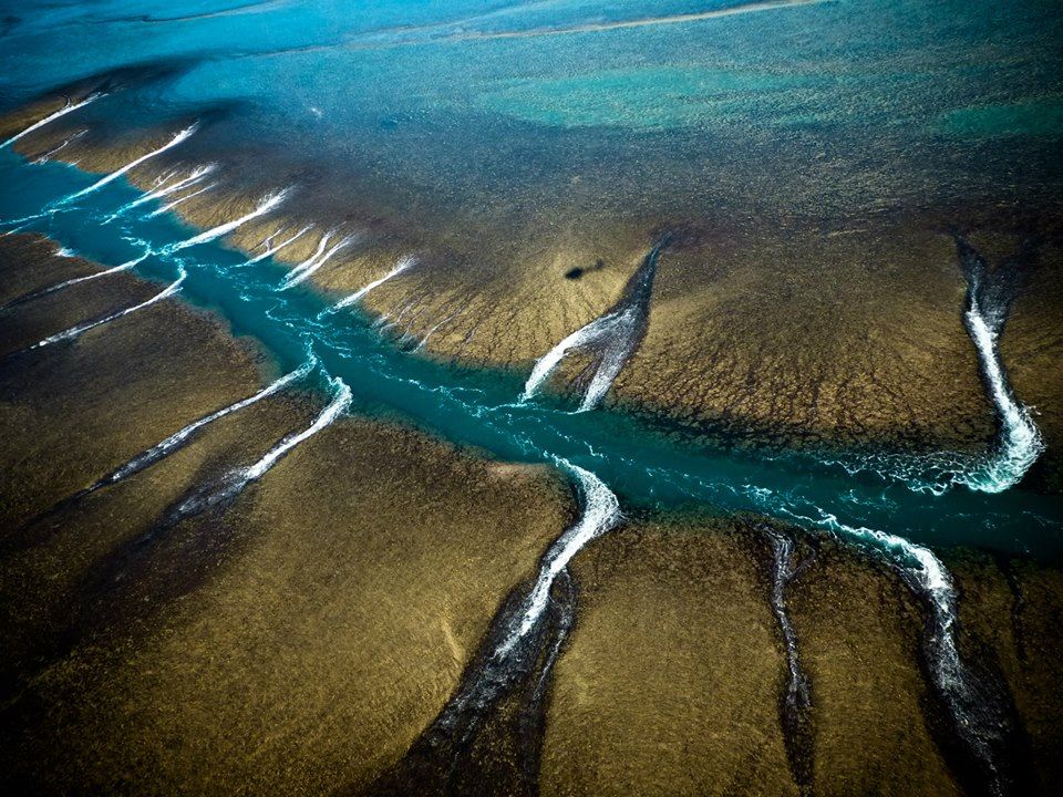 Tidal Grandeur: Australia's Montgomery Reef Marine Abundance. - Mnews