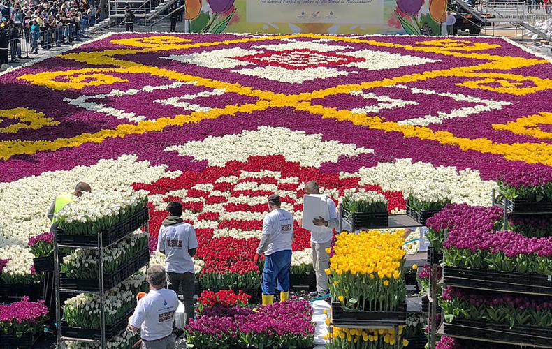 Discover 6 Beautiful Flower Fields in the World – Bestbabies.info