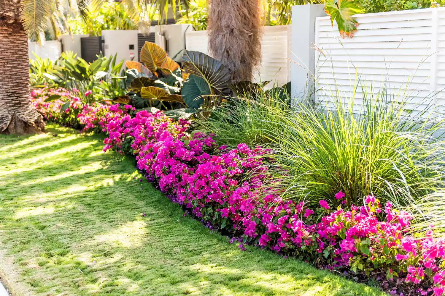 6 Basic Principles of Landscape Design