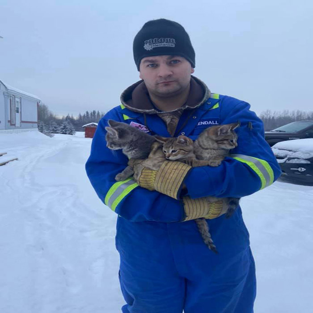 Man rescues kittens frozen in snow with his hot coffee