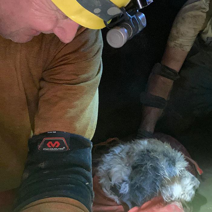 Missouri spelunkers RESCUE missing dog trapped in caves 500ft under the ground after 2 months