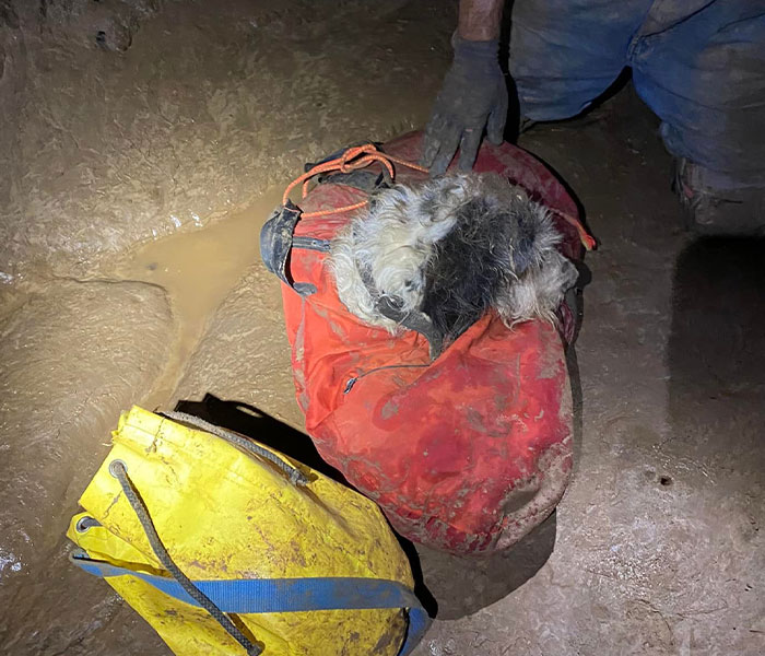 Missouri spelunkers RESCUE missing dog trapped in caves 500ft under the ground after 2 months