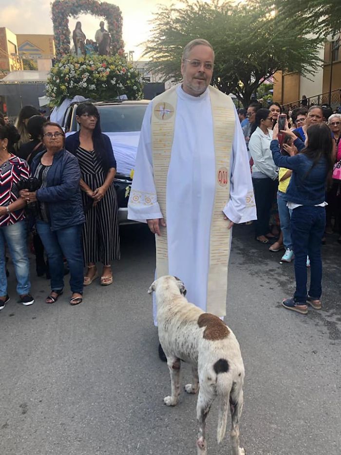 A Kind Priest Brings Stray Dogs To Mass So They Can Find New Families