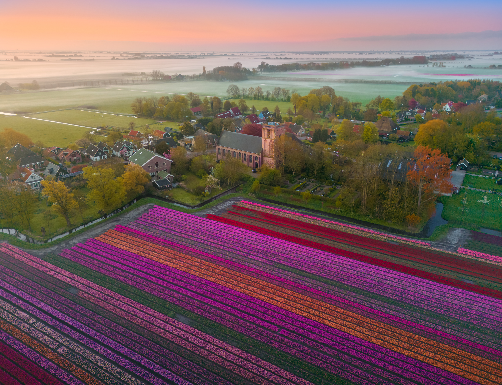 Unveiling the Enchanting Beauty of Dutch Tulip Fields - bumkeo