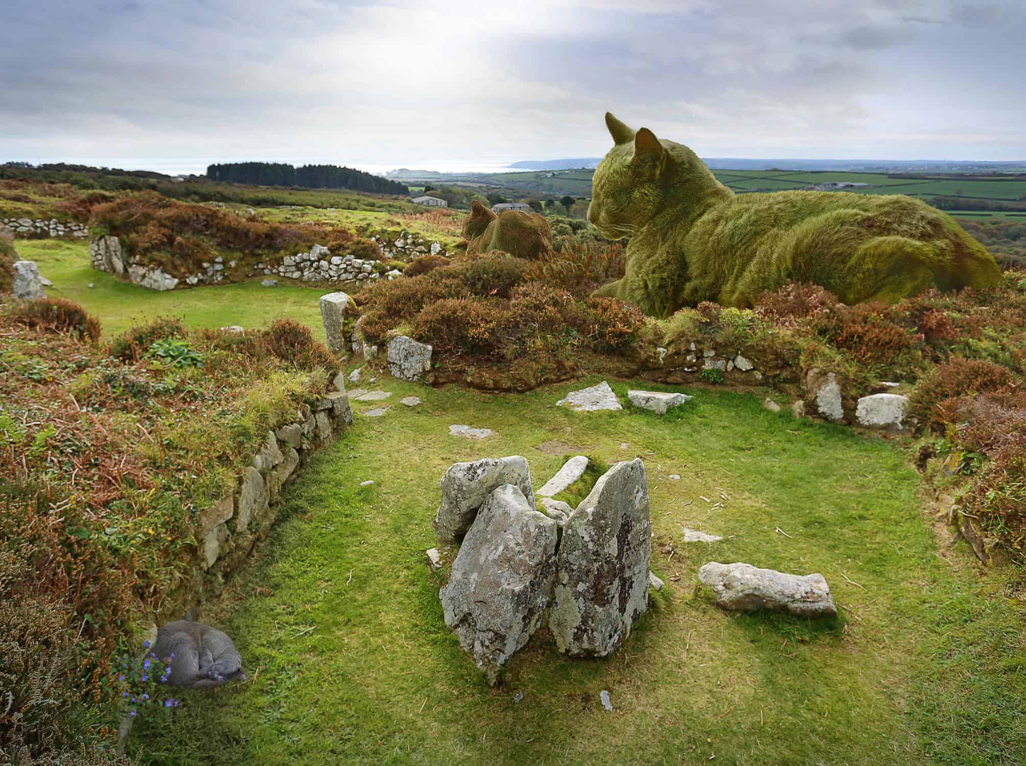 The Surrealist Artist's Extraordinary Skill: Bringing A Topiary Cat To Vivid Life - Nature and Life