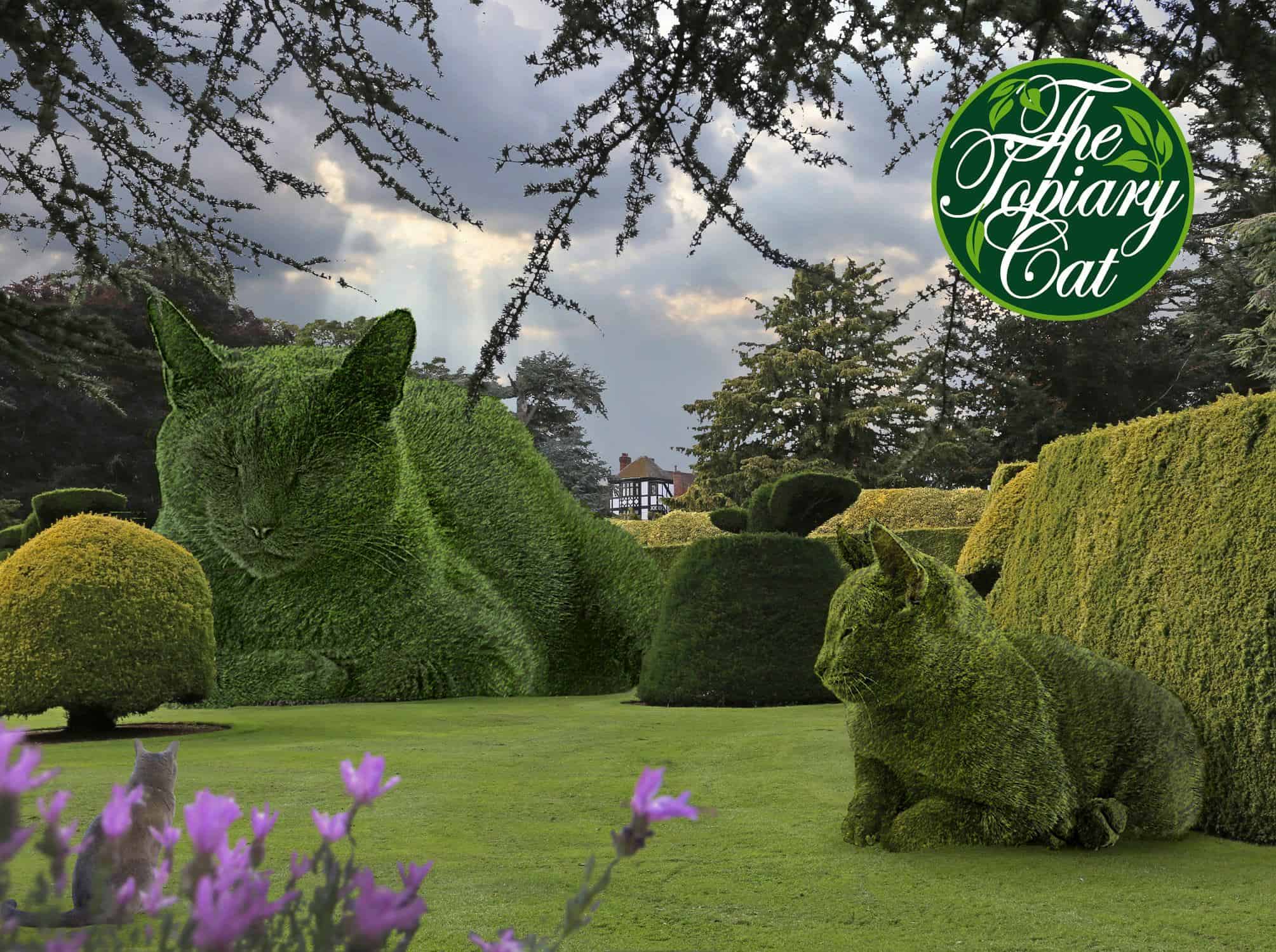 The Surrealist Artist's Extraordinary Skill: Bringing A Topiary Cat To Vivid Life - Nature and Life