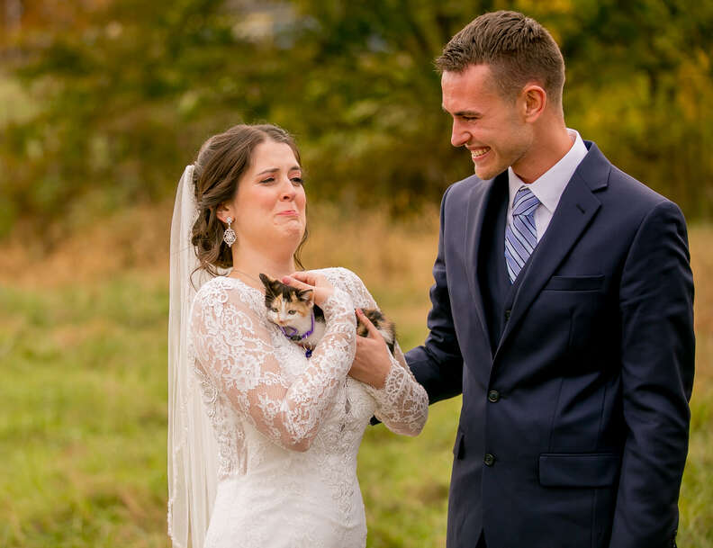 Guy Who 'Doesn't Want Pets' Finally Gives In On His Wedding Day