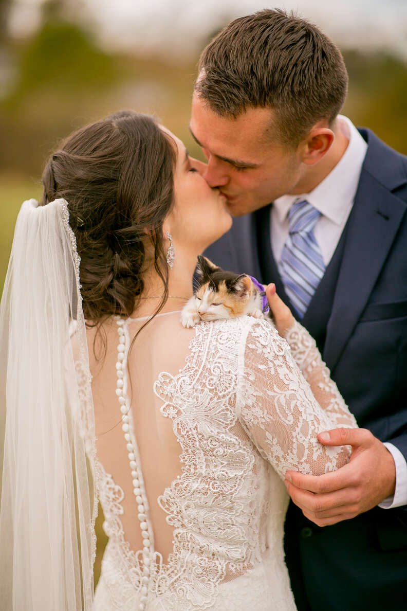 Guy Who 'Doesn't Want Pets' Finally Gives In On His Wedding Day