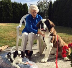 A Special Puppy Took it upon himself to befriend A Lonely Widow