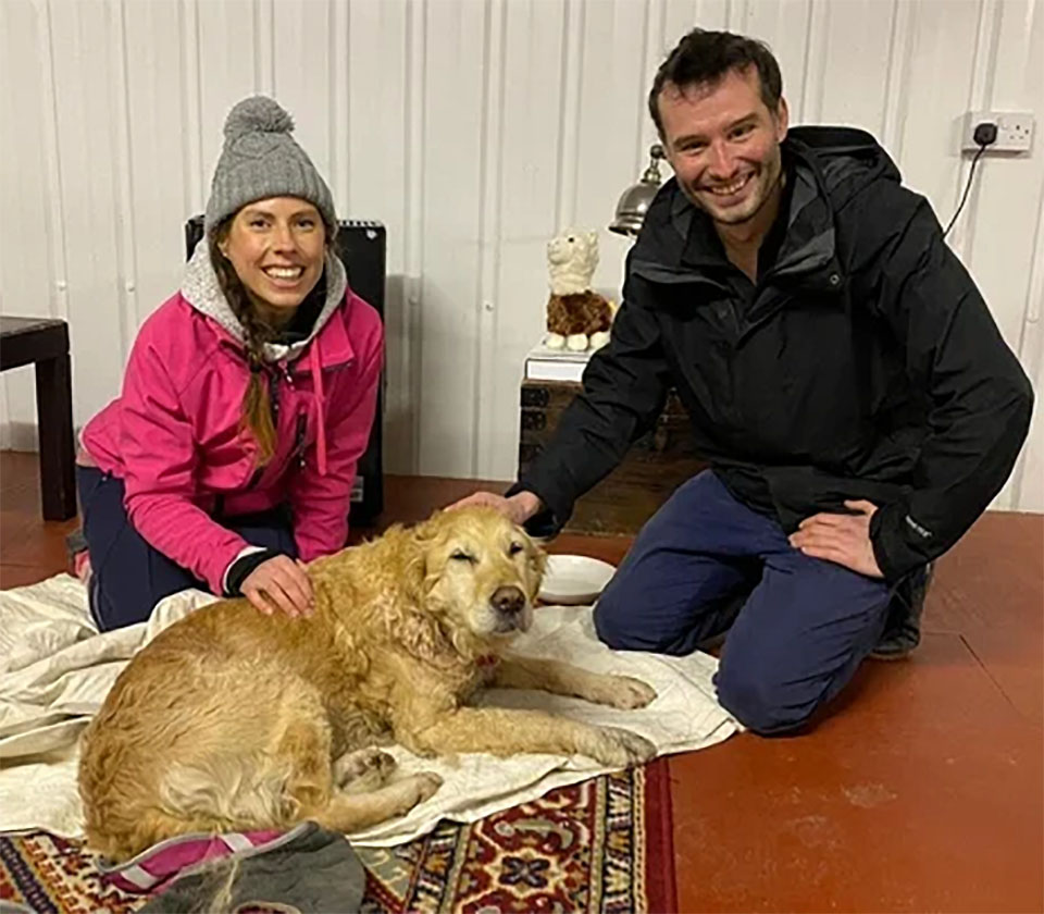 A Couple Of Doctors Rescue A Dog That Had Been Missing For Several Days In The Mountains Of Ireland, And They Deliver Her To Her Family