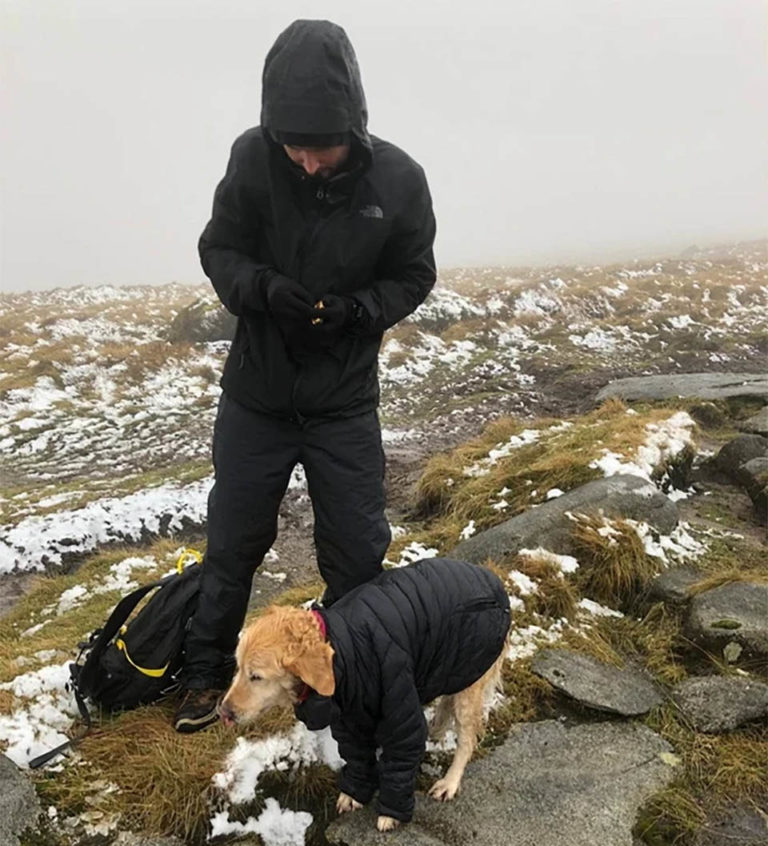 A Couple Of Doctors Rescue A Dog That Had Been Missing For Several Days In The Mountains Of Ireland, And They Deliver Her To Her Family