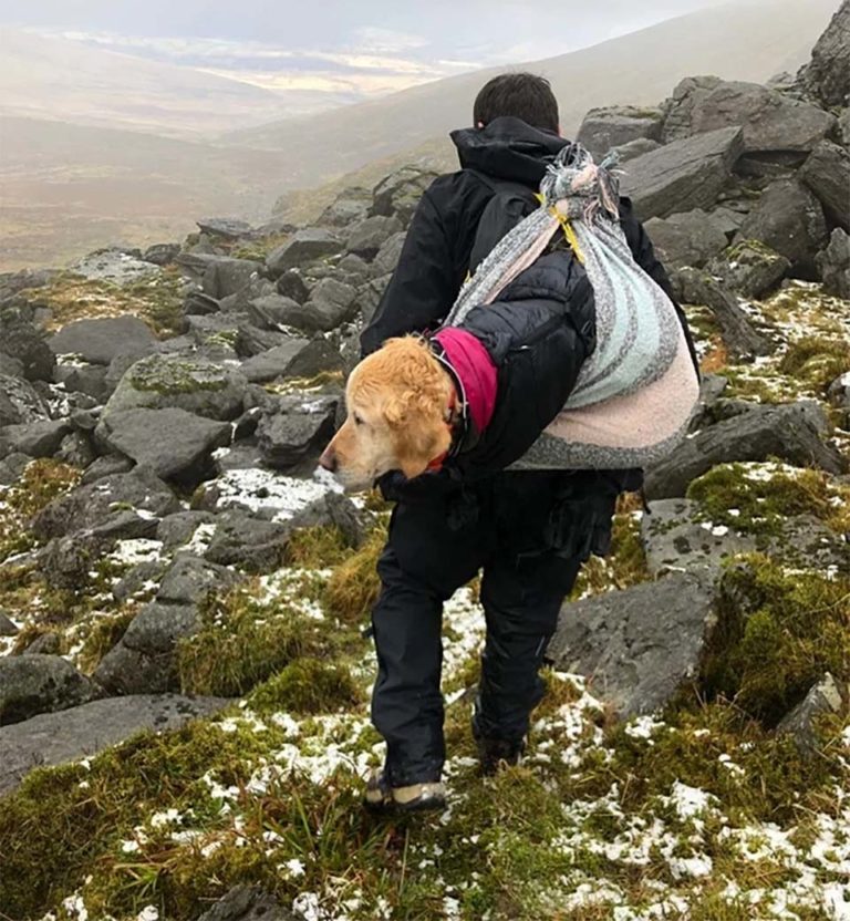 A Couple Of Doctors Rescue A Dog That Had Been Missing For Several Days In The Mountains Of Ireland, And They Deliver Her To Her Family