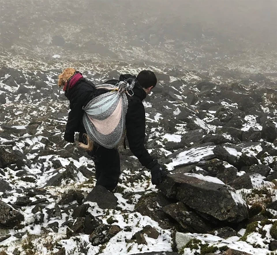 A Couple Of Doctors Rescue A Dog That Had Been Missing For Several Days In The Mountains Of Ireland, And They Deliver Her To Her Family