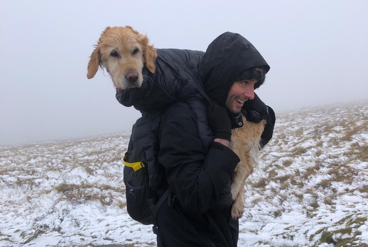 A Couple Of Doctors Rescue A Dog That Had Been Missing For Several Days In The Mountains Of Ireland, And They Deliver Her To Her Family