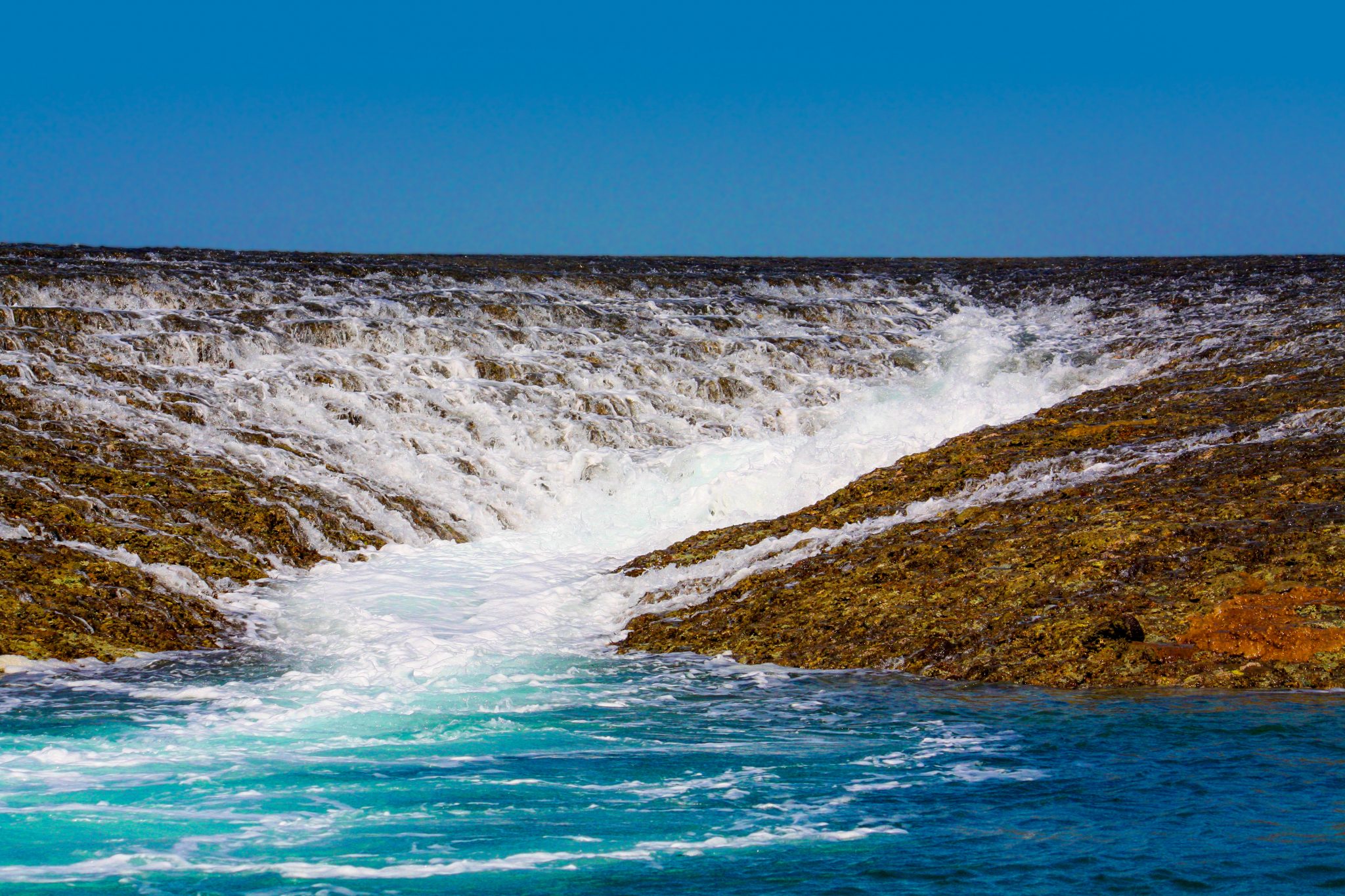 Tidal Grandeur: Australia's Montgomery Reef Marine Abundance. - Mnews