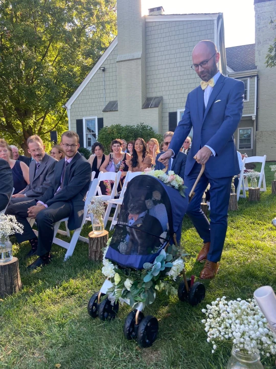 Cat nabs the spotlight at owners’ wedding as adorable ring bearer