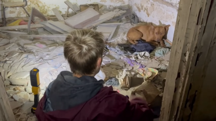 Dog Trembling In A Pile Of Rubble Is So Grateful Someone Finally Noticed Her