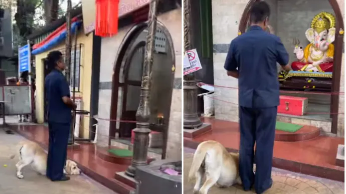 Dog bows down, pays respect to Lord Ganesha outside temple.