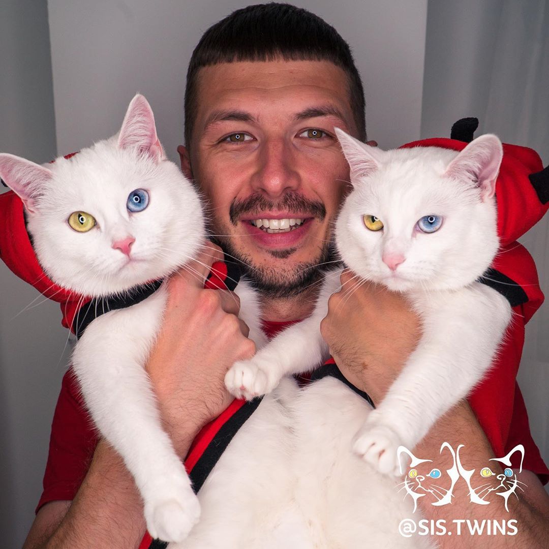 Insta-Famous Feline Twins: Introducing the Sister Cats with Strikingly Unique Heterochromatic Eyes!