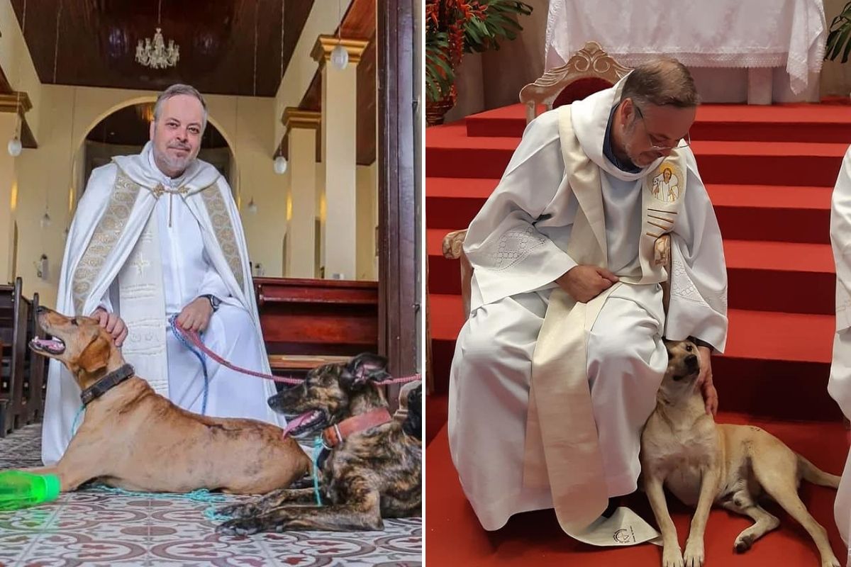 A Kind Priest Brings Stray Dogs To Mass So They Can Find New Families