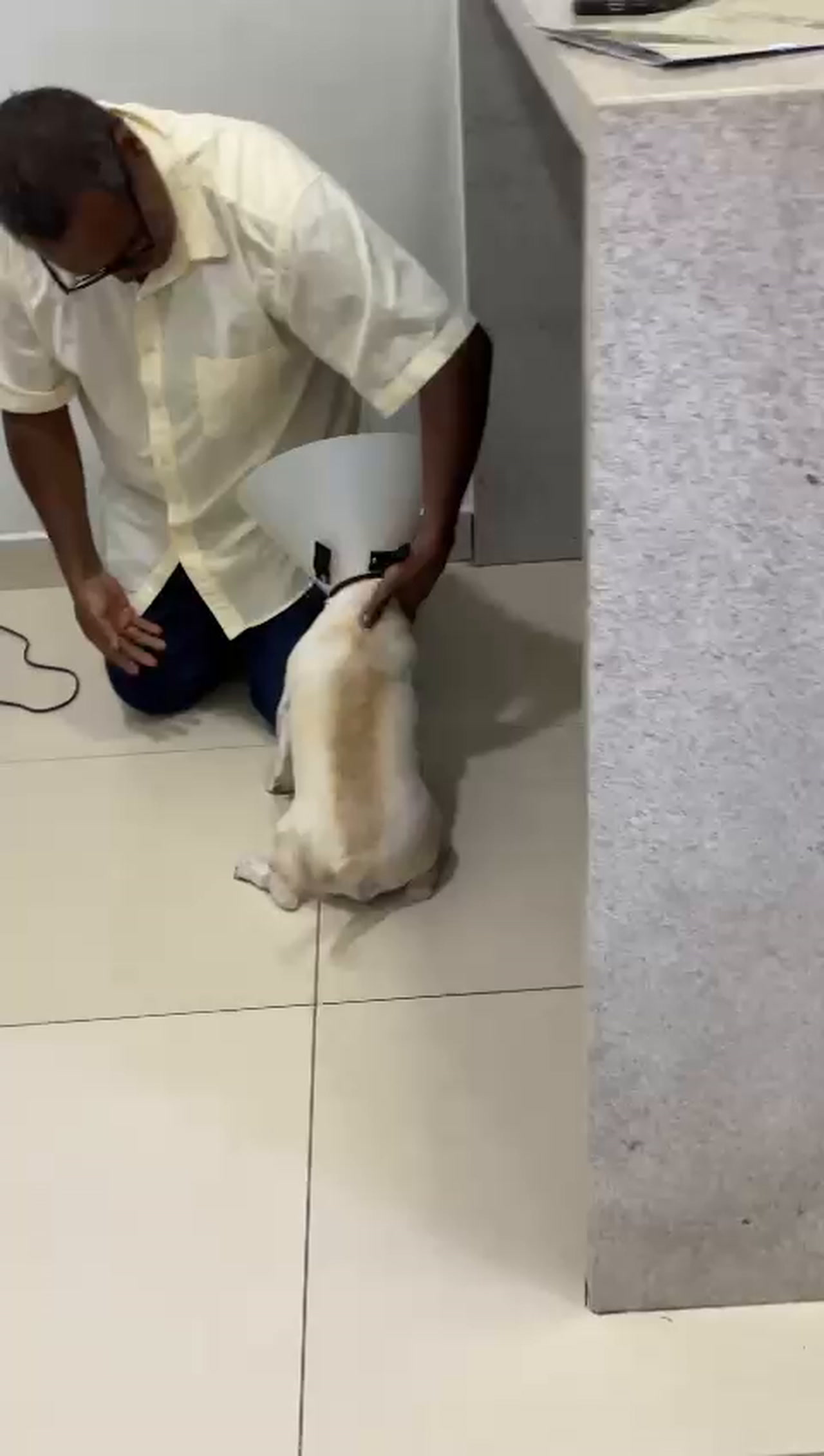 Formerly Blind Dog Is So Happy To See His Dad’s Face Again After Surgery