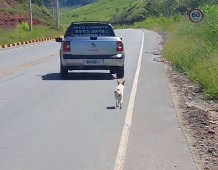 Man Is So Moved By Viral Video Of Dog Being Dumped That He Goes Looking And Saves Him