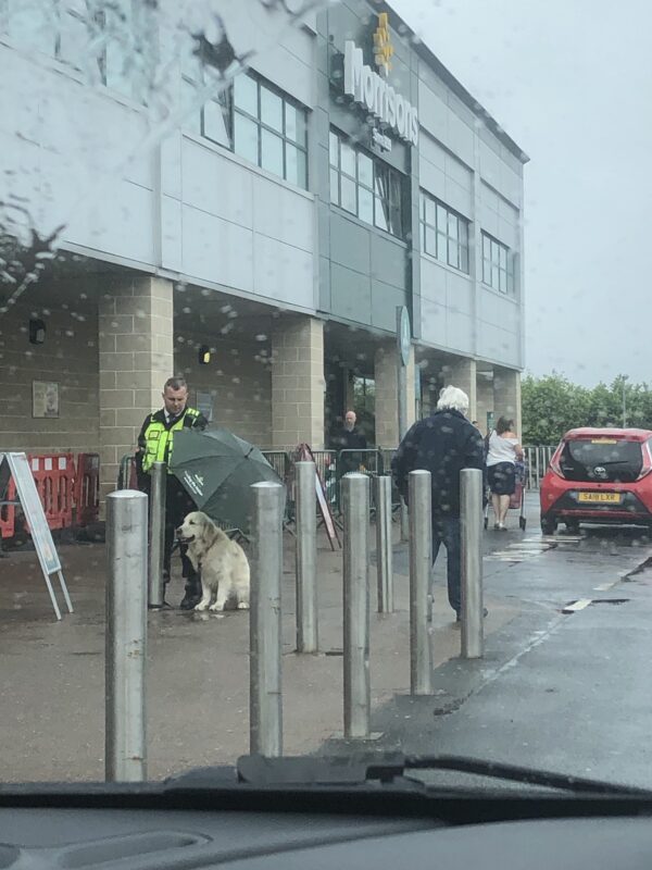 Security Guard Protects Dog With His Umbrella During Downpour And The Photo Goes Viral