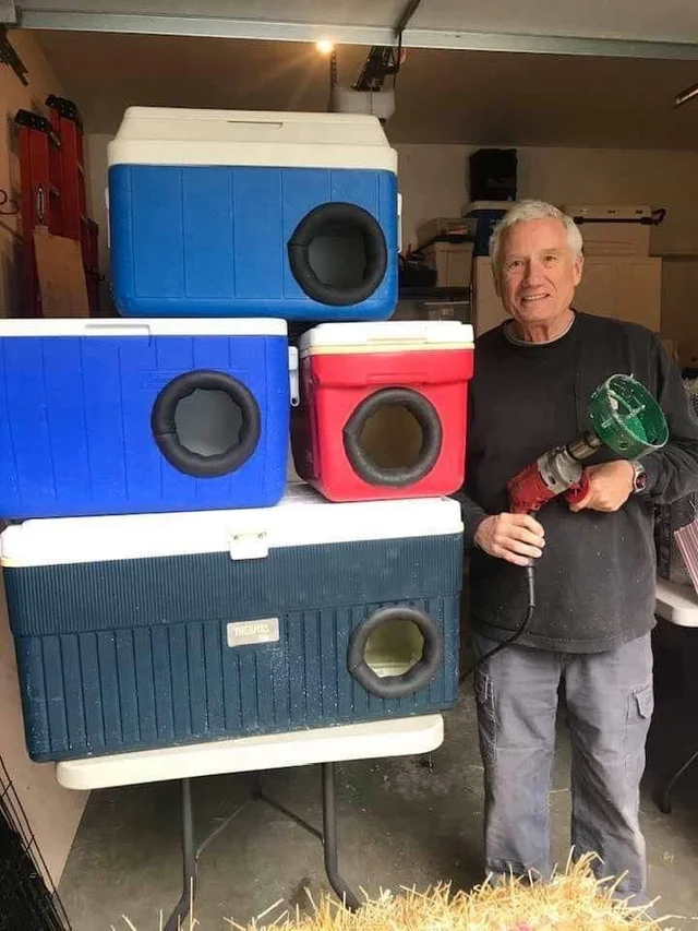 Man Makes Winter Shelters For Stray Cats Out Of Discarded Coolers