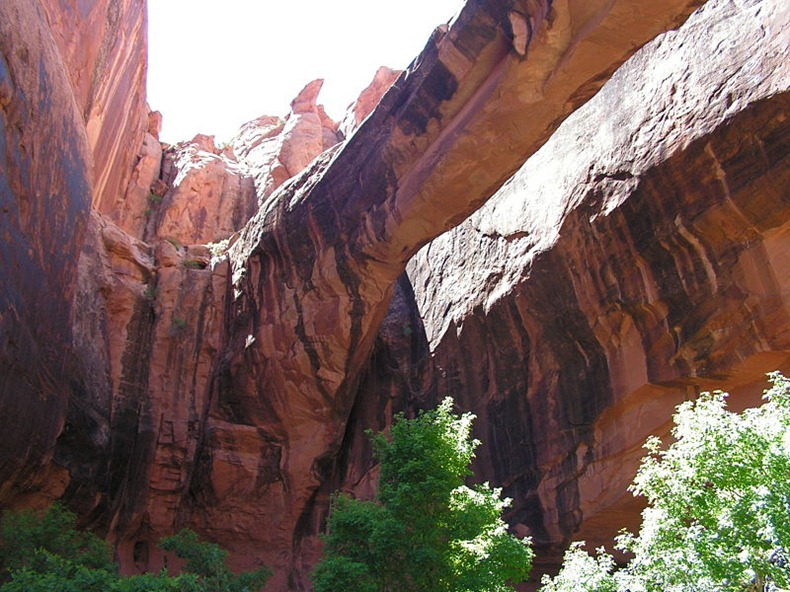 The most beautiful natural arches in the world – Bestbabies.info