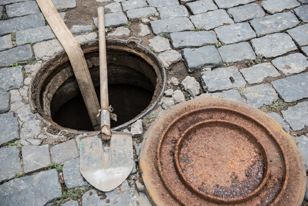 Lone Kitten Stuck in Drain Pipe Gets Help and is Reunited with Her Cat Family