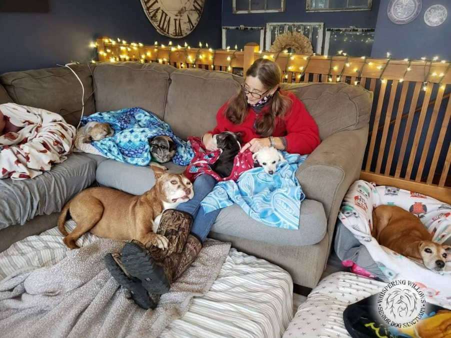 Woman Establishes Sanctuary to Give Senior Dogs a Proper Home