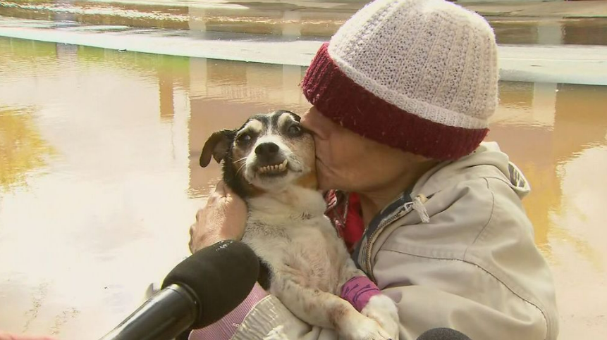 Woman trapped in Victoria's floodwaters reunited with dog about to "gone forever."