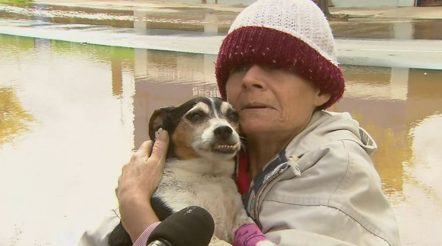 Woman trapped in Victoria's floodwaters reunited with dog about to "gone forever."