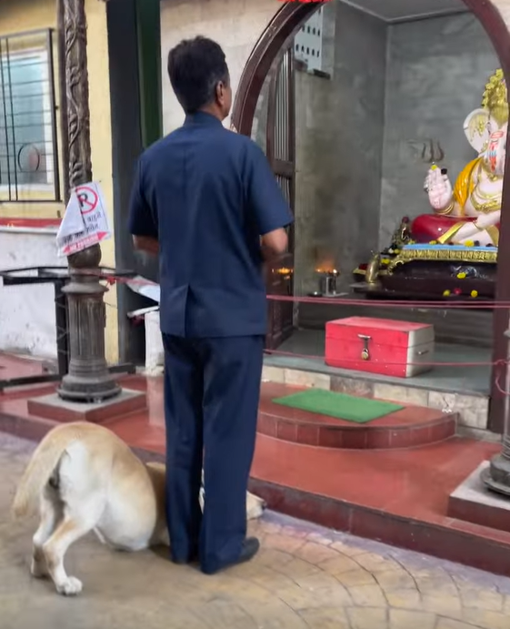 Dog bows down, pays respect to Lord Ganesha outside temple.