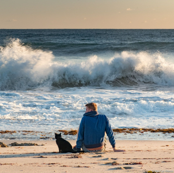 Man Left His Job, Sold Everything to Travel With Cat Who Rescued Him During Toughest Time