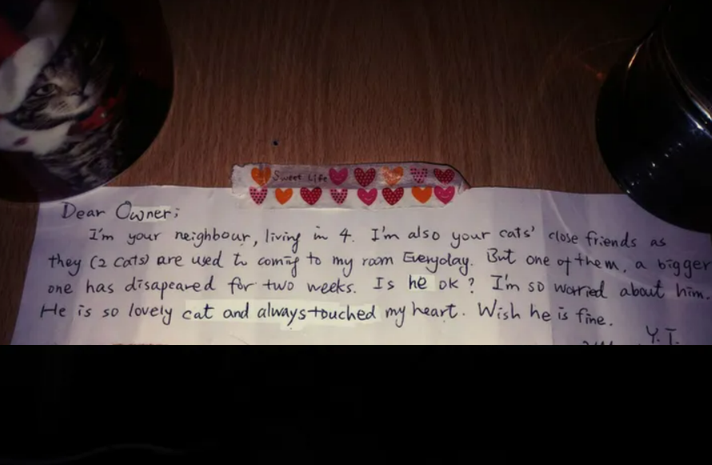 Heartbroken After the Loss of Their Cat, This Couple Received a Touching Letter