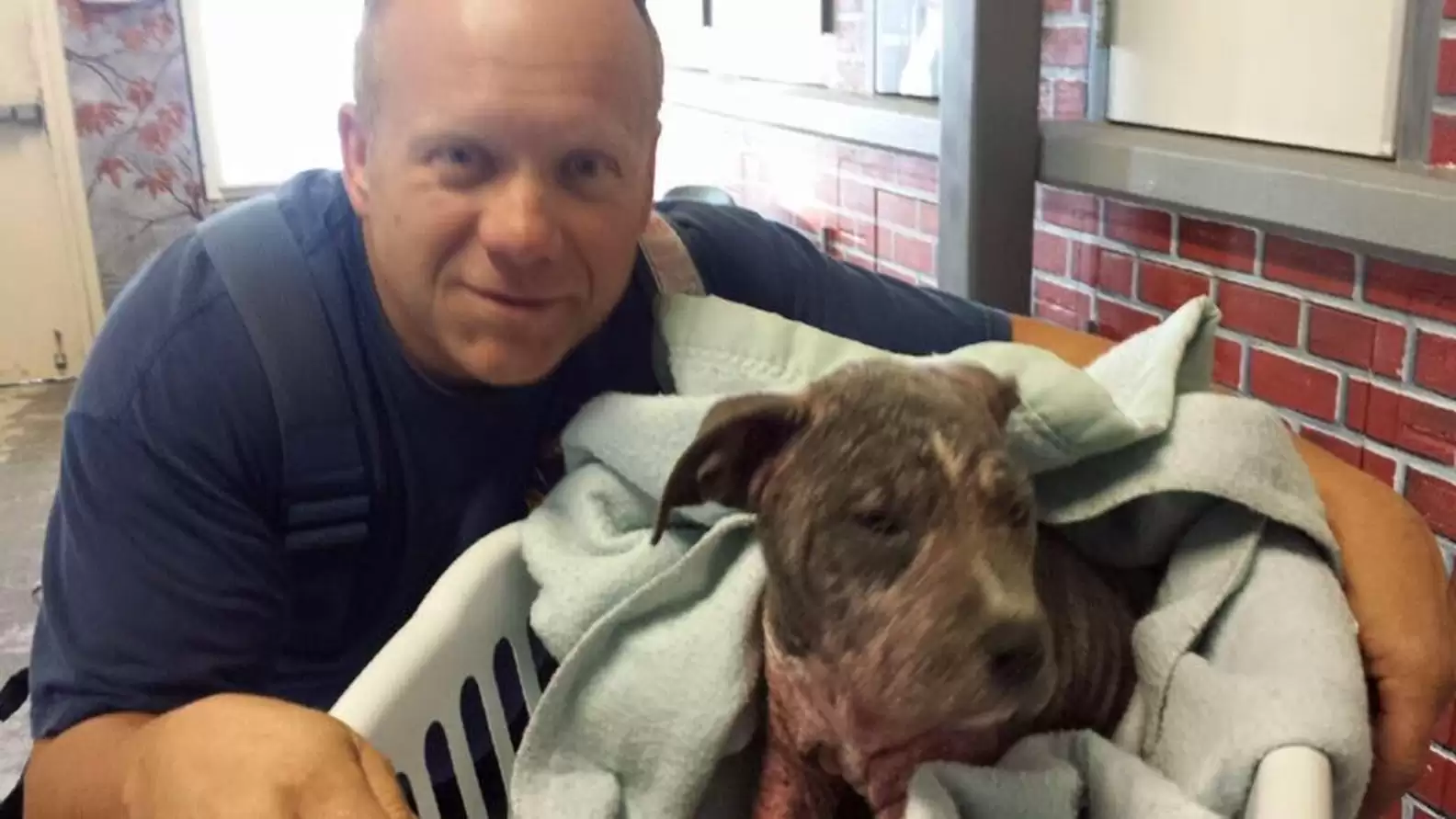 Sick Stray Puppy Overjoyed When Firefighter Who Saved Her Comes To Visit