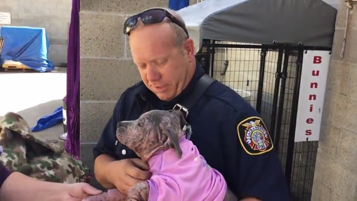 Sick Stray Puppy Overjoyed When Firefighter Who Saved Her Comes To Visit