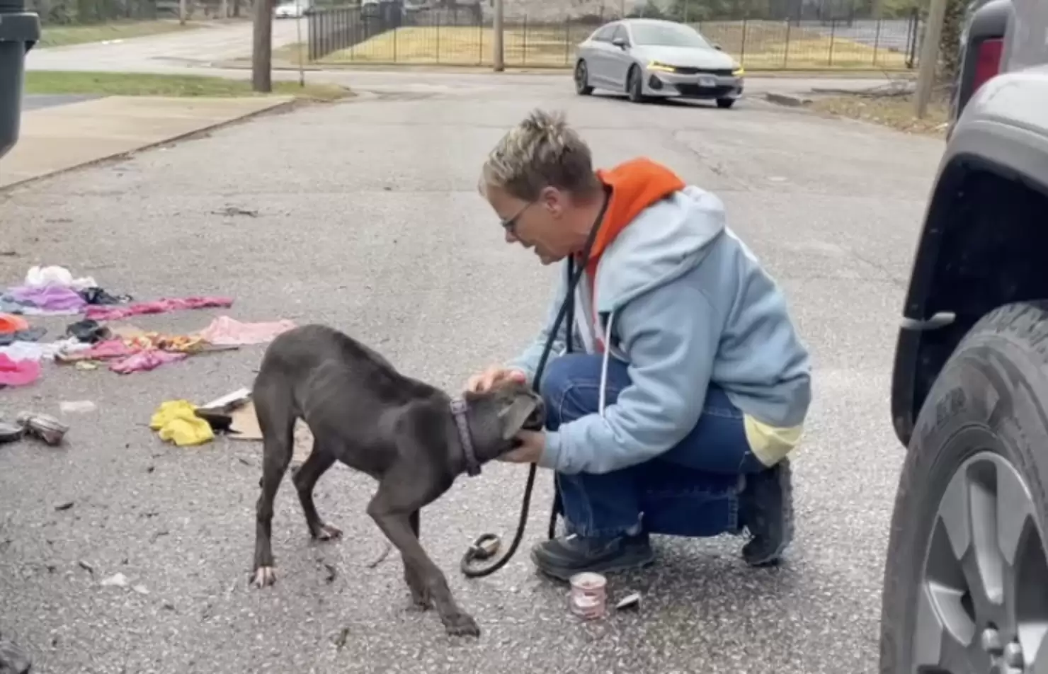 Stray Dog Found Sleeping On Trash Can’t Stop Hugging Her Rescuers