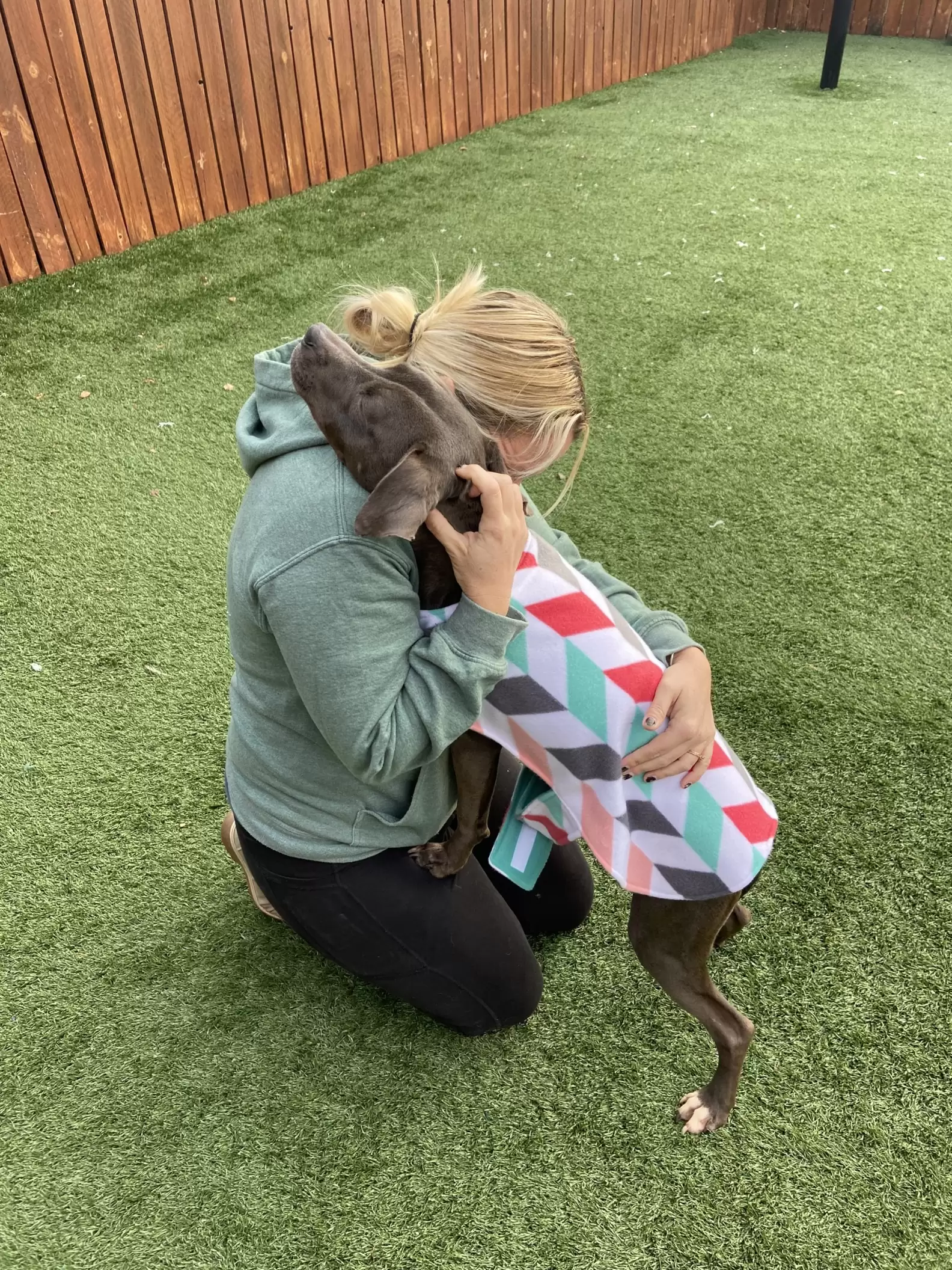 Stray Dog Found Sleeping On Trash Can’t Stop Hugging Her Rescuers