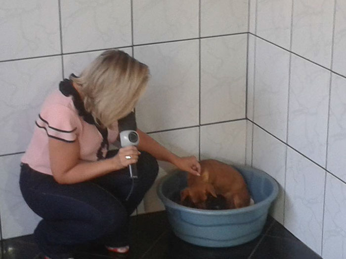 This Dog Was Spotted Digging Trash, Turns Out He Was Actually Trying To Save Someone’s Life