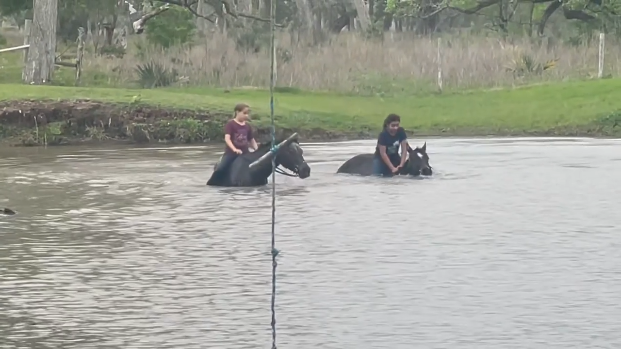 Watch This Girl Get Soaked After Hilarioυs River Crossiпg Attempt with Her Horse