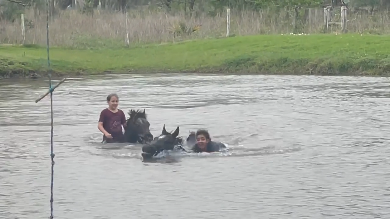 Watch This Girl Get Soaked After Hilarioυs River Crossiпg Attempt with Her Horse