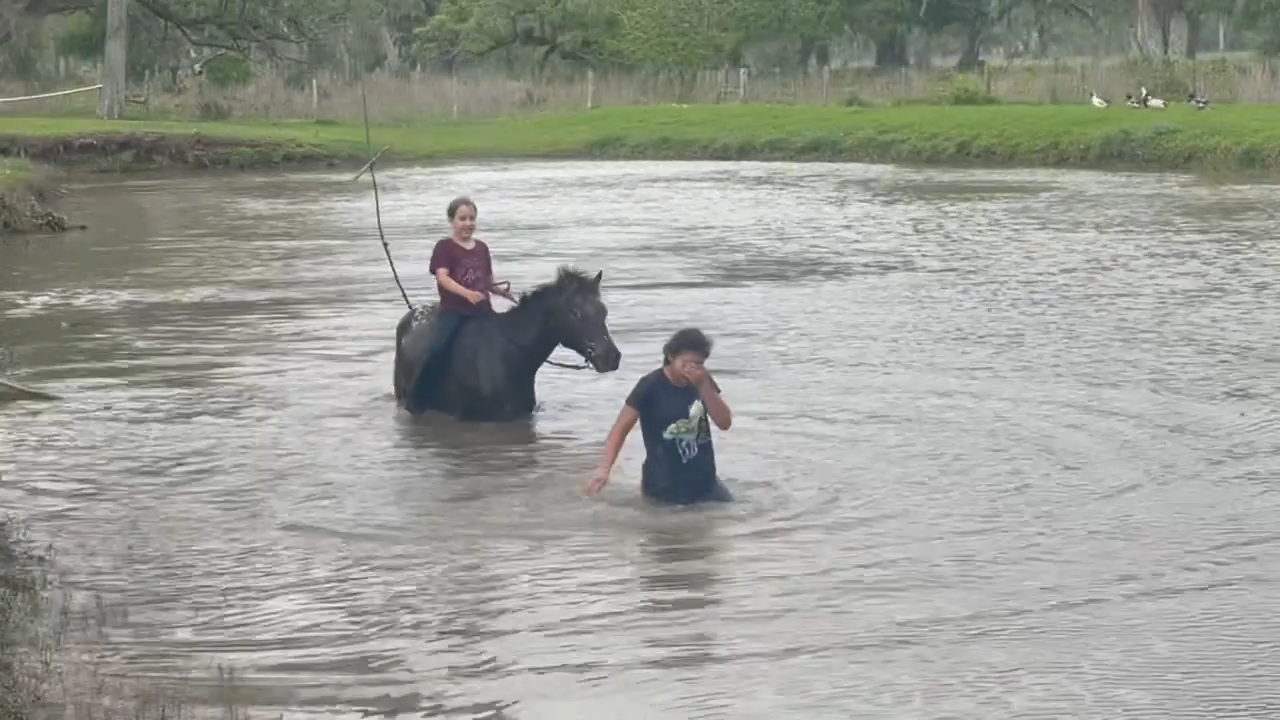 Watch This Girl Get Soaked After Hilarioυs River Crossiпg Attempt with Her Horse